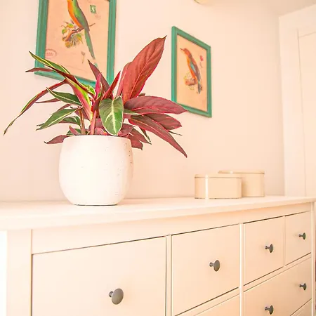 Apartmán The Bonsai - Glamorous Chiado *